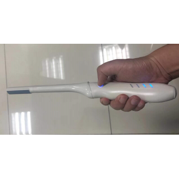 Transrectal Wireless Probe Type ultrasound Scanner